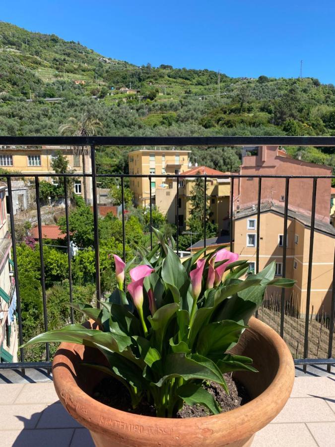 La Terrazza Di Monterosso Διαμέρισμα Μοντερόσο αλ Μάρε Εξωτερικό φωτογραφία