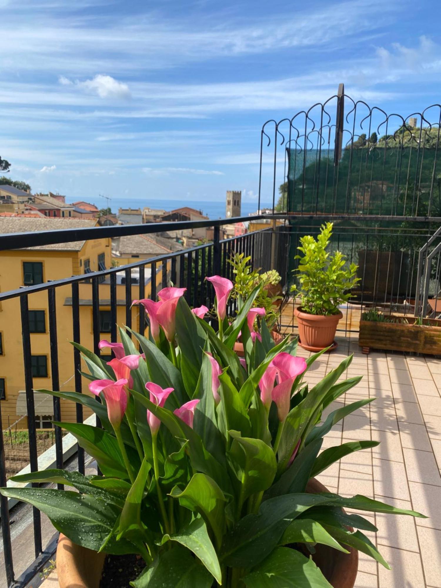La Terrazza Di Monterosso Διαμέρισμα Μοντερόσο αλ Μάρε Εξωτερικό φωτογραφία