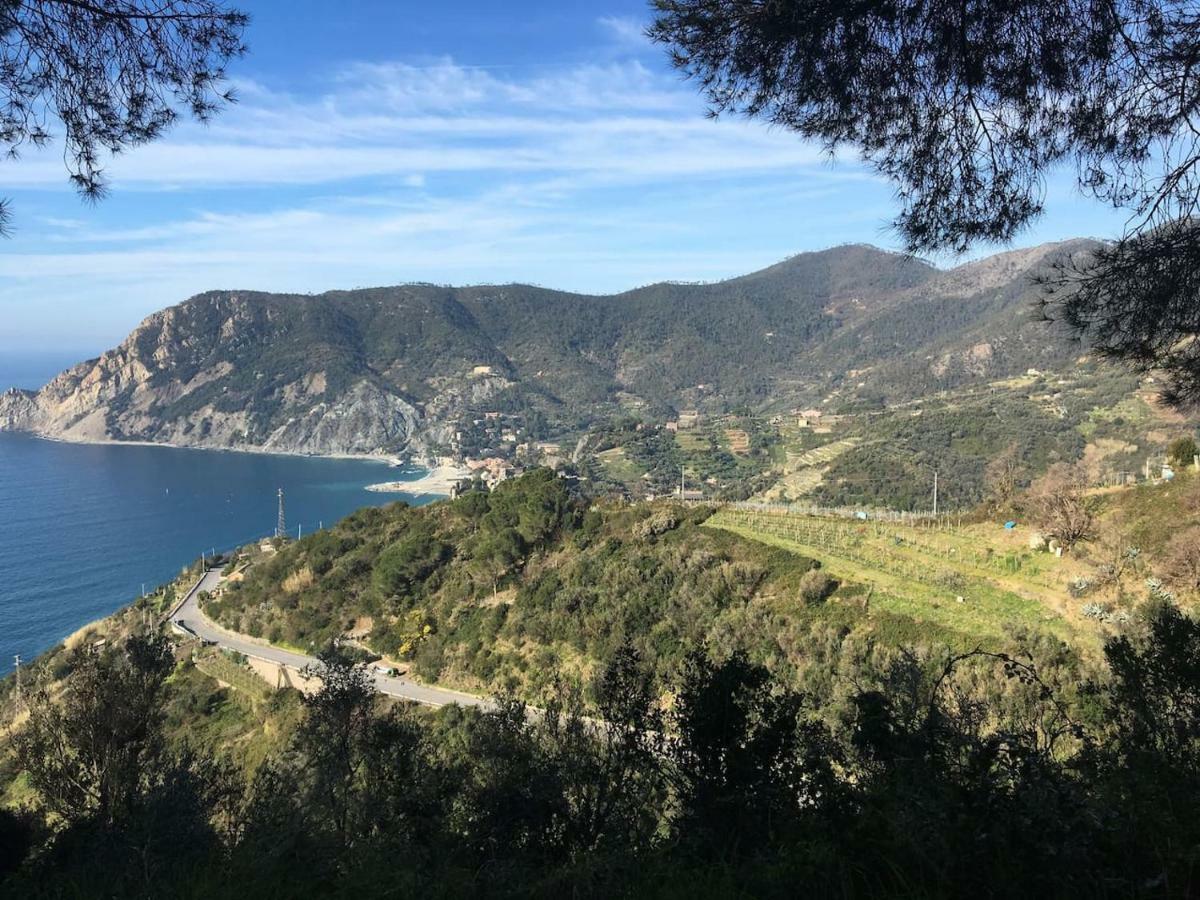 La Terrazza Di Monterosso Διαμέρισμα Μοντερόσο αλ Μάρε Εξωτερικό φωτογραφία