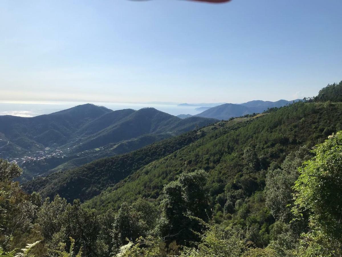 La Terrazza Di Monterosso Διαμέρισμα Μοντερόσο αλ Μάρε Εξωτερικό φωτογραφία